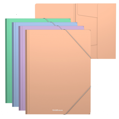 ERICHKRAUSE teczka 2-gumki PP BLOOM
