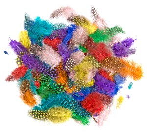 Piórka 4-7cm 10g. - bażanta CEPI-118