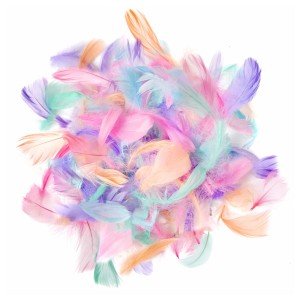 Piórka 4-8cm 10g. - macaron CEPI-119