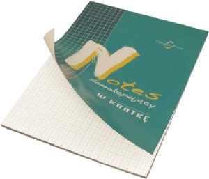 Notes w kratkę
