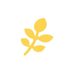 Gałązka