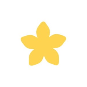 Płatek
