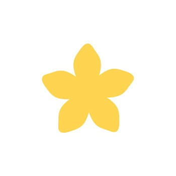 Płatek