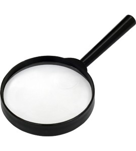 Lupa