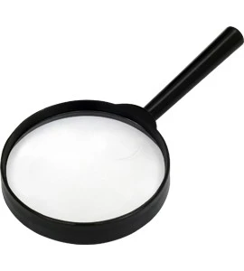 Lupa